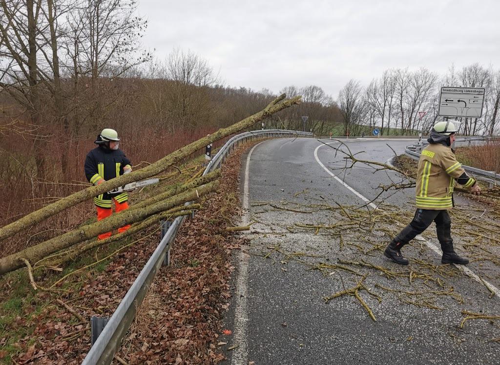 Einsatzfoto Baum auf Fahrbahn