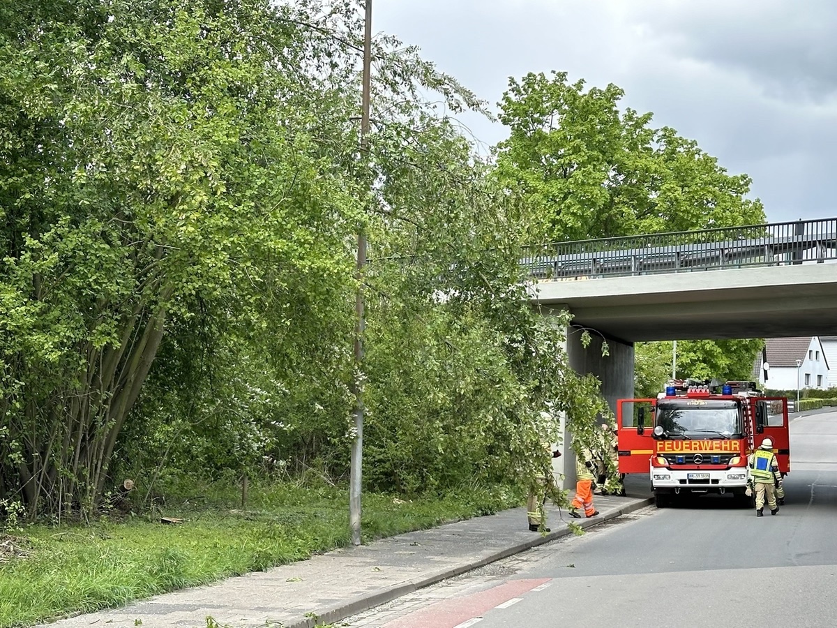 Einsatzfoto Baum auf Fahrbahn