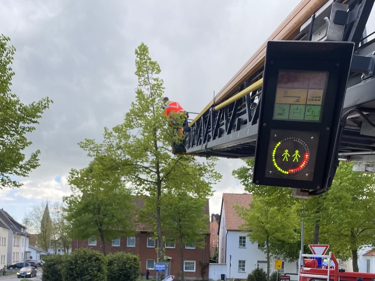 Einsatzfoto Baum auf Fahrbahn