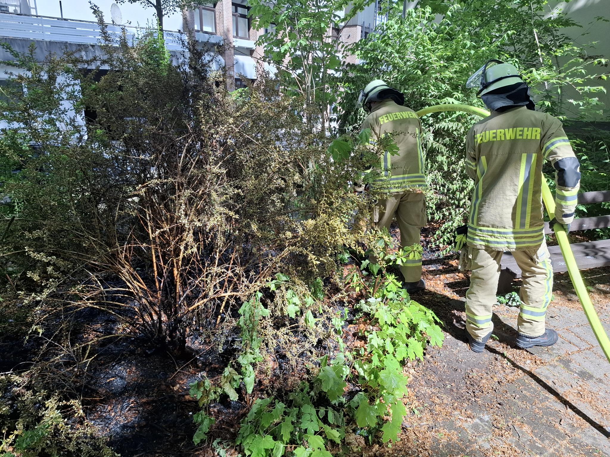 Einsatzfoto Kleinbrand im Freien